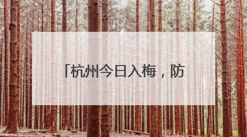 杭州今日入梅，防潮除湿怎么办？已有不少人开始备货